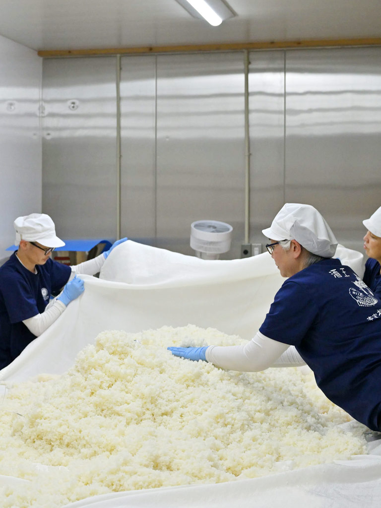 酒水ト米ト人で醸す一本の酒コース 蔵人体験