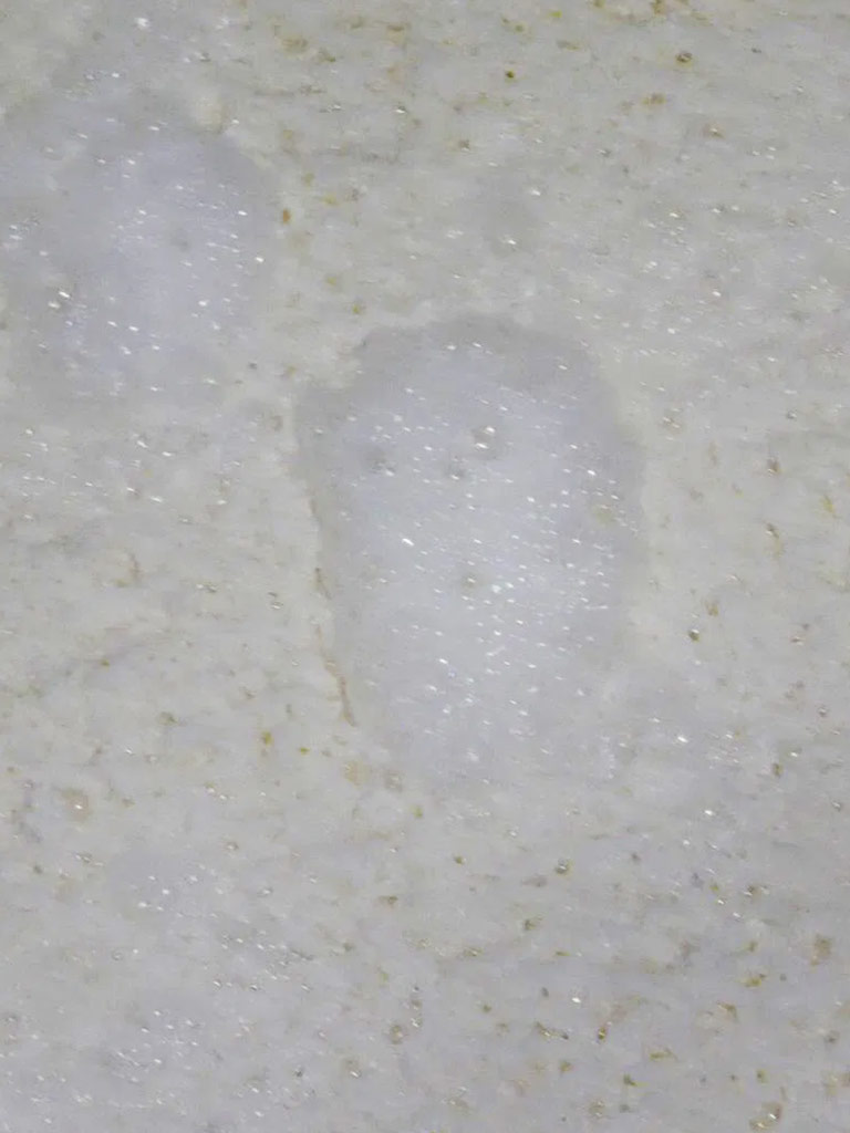 酒蔵体験ツアー